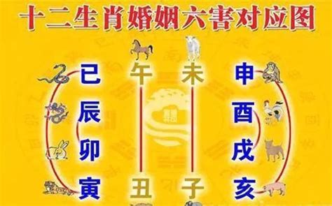 十二生肖相生相克|生肖相生相克最全汇总：属相间的婚配宜忌一看便知